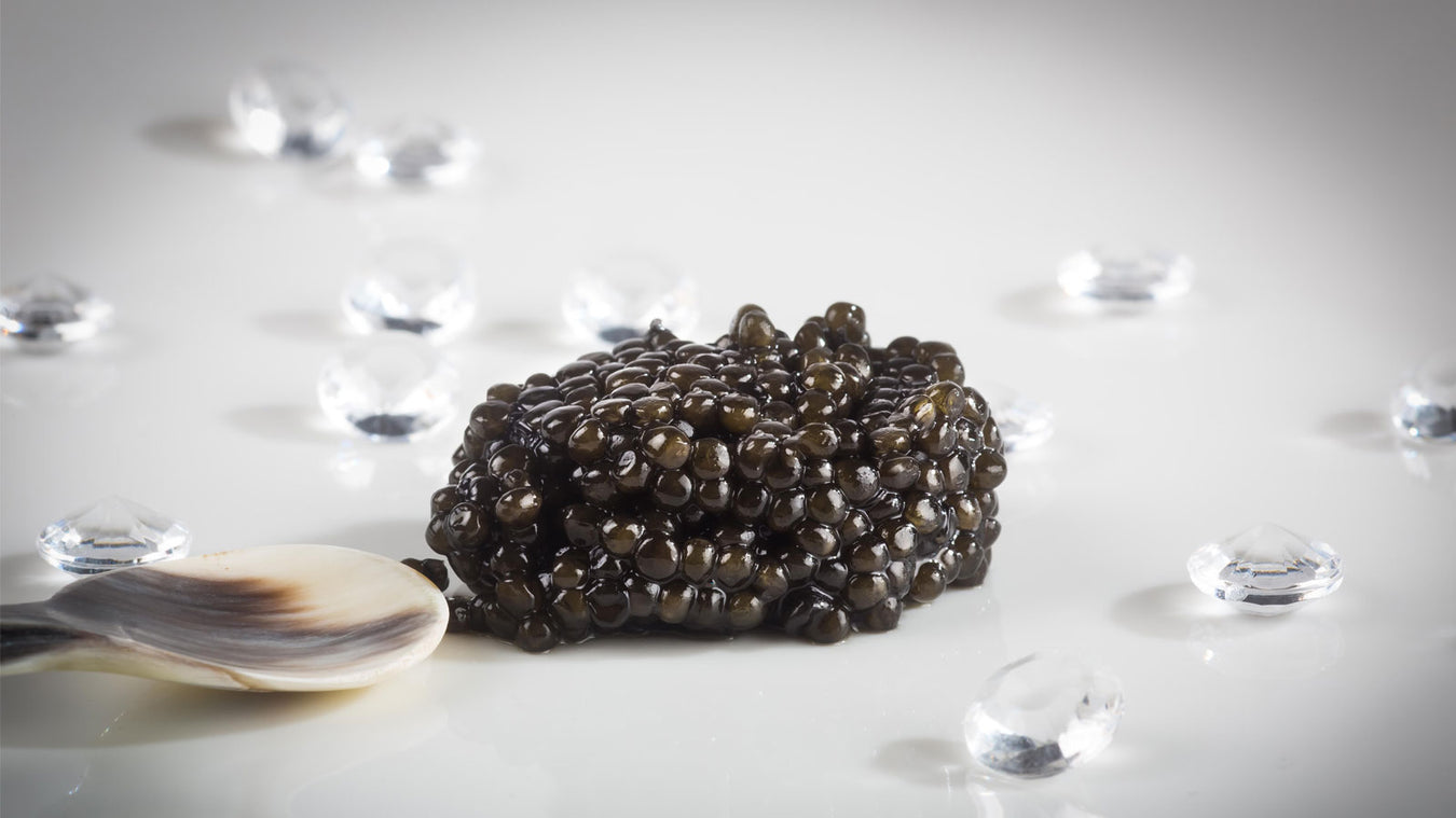 Gamme CAVIAR